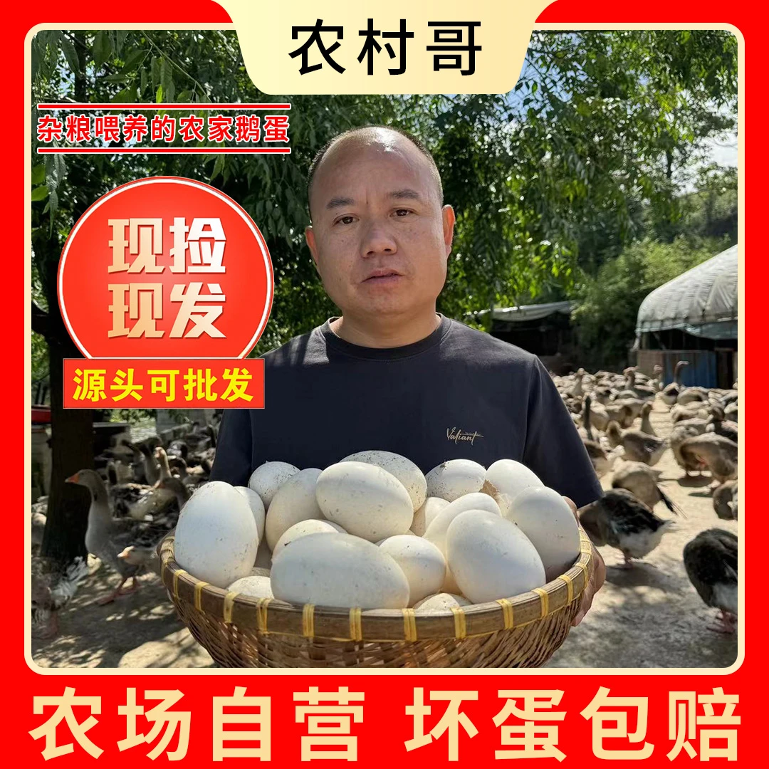 【农村哥】现捡现发新鲜散养鹅蛋一箱12个单个重120g左右