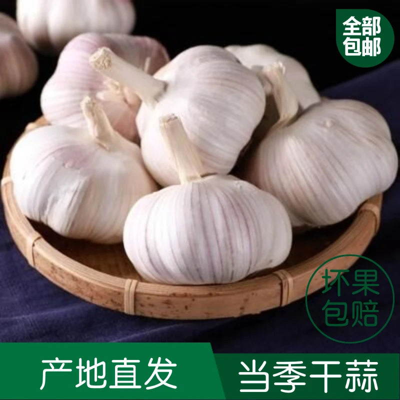 山东金乡紫白皮干大蒜1斤3斤5斤9斤一件也是批发价