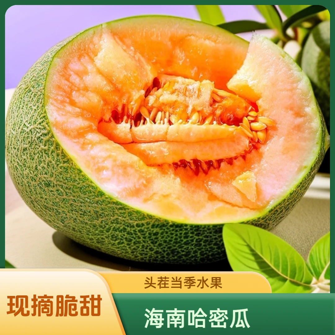 【果园现摘】海南哈密瓜皮薄肉厚 新鲜脆甜 1/2个装 坏果包赔c