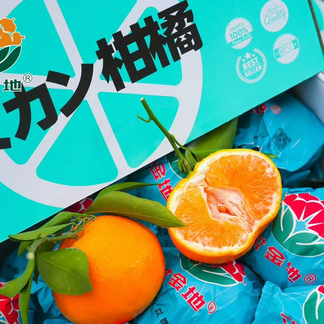 寸金地春见耙耙柑春见大品牌原箱礼盒净重约8斤顺丰新鲜水果