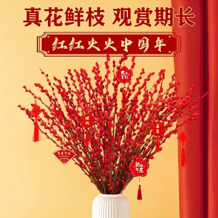 【年宵花】红色家居年宵花银柳鲜花可做干花招财客厅室内装饰插花