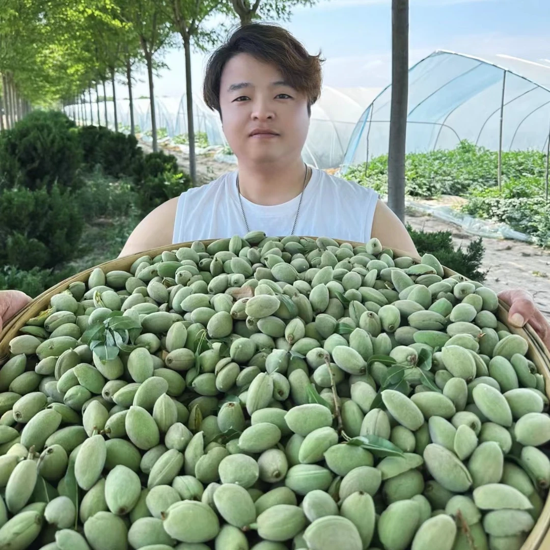 【大江推荐】新疆新鲜巴旦木带青壳即食扁桃仁巴达木新鲜干果