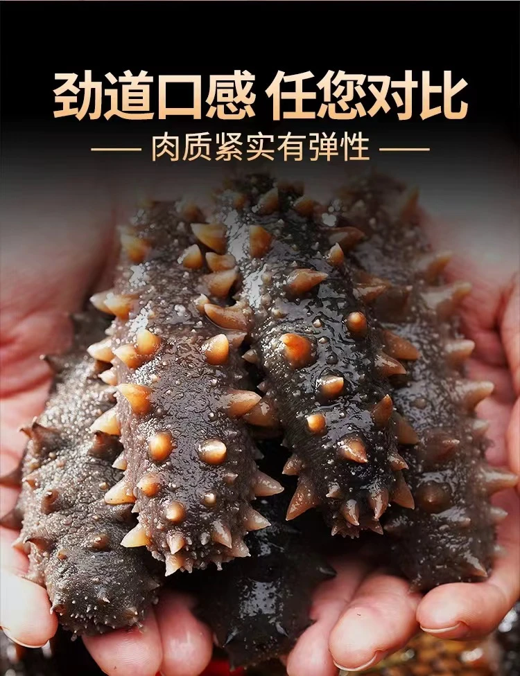大连底播海参辽刺参新鲜解冻营养海参开袋即食方便冷冻食用发货