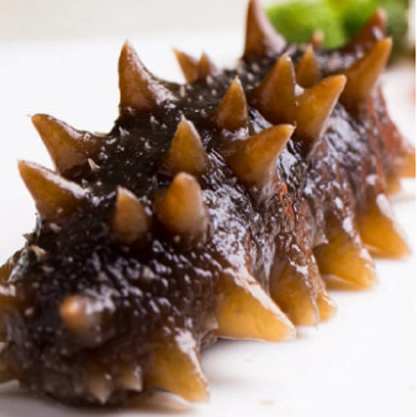 连云港发货  新鲜海参 劲道好吃    500克/包，约12-14只