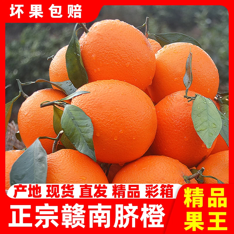 5斤10斤正宗江西赣南脐橙新鲜应季水果橙子手剥甜橙产地直发