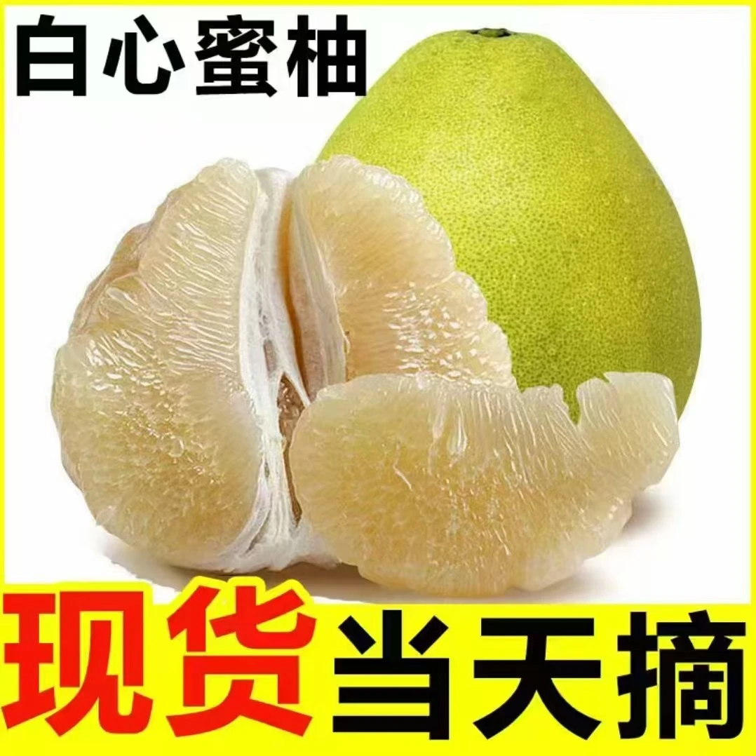【疯狂抢购】精选白心冰糖蜜柚鲜甜爆汁四川正宗当季水果红心柚子