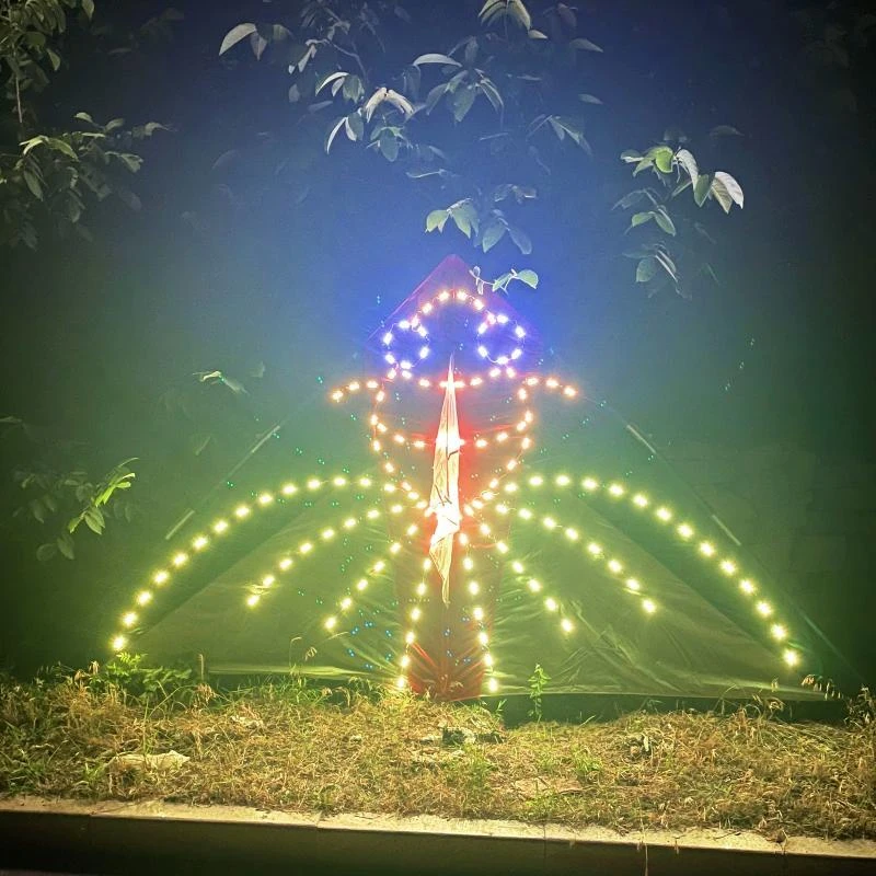 户外夜光风筝新品金鱼可充电贴片灯珠，亮度高穿透性强到手及玩