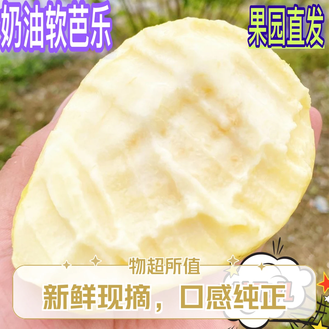 【认准广西】番石榴芭乐正宗软番石榴应季当季新鲜水果浓香芭乐果