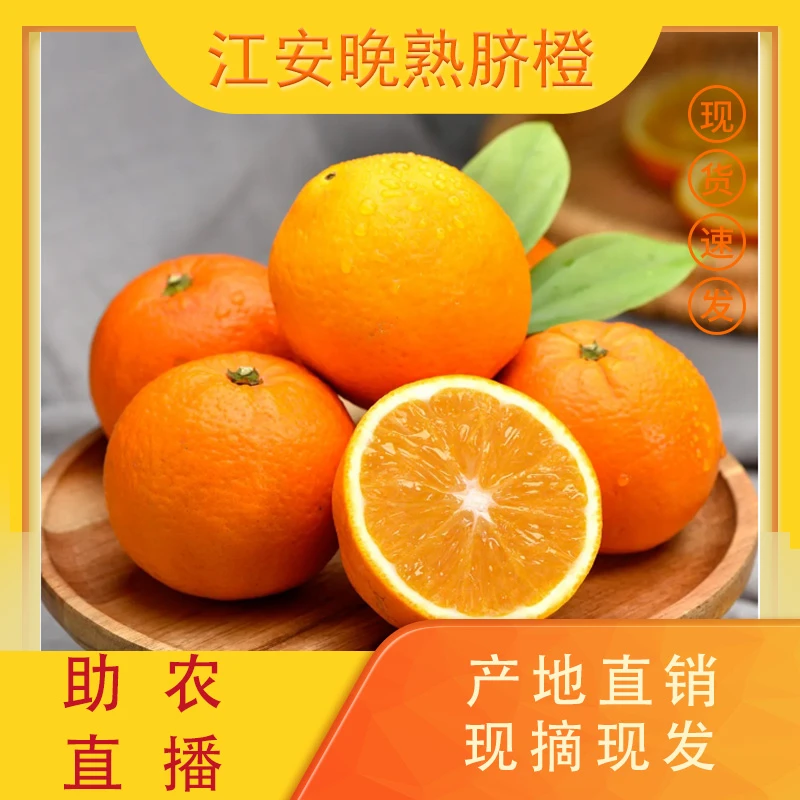 【江安脐橙直播助农】新鲜现摘 正宗江安晚熟脐橙5斤应季水果橙子