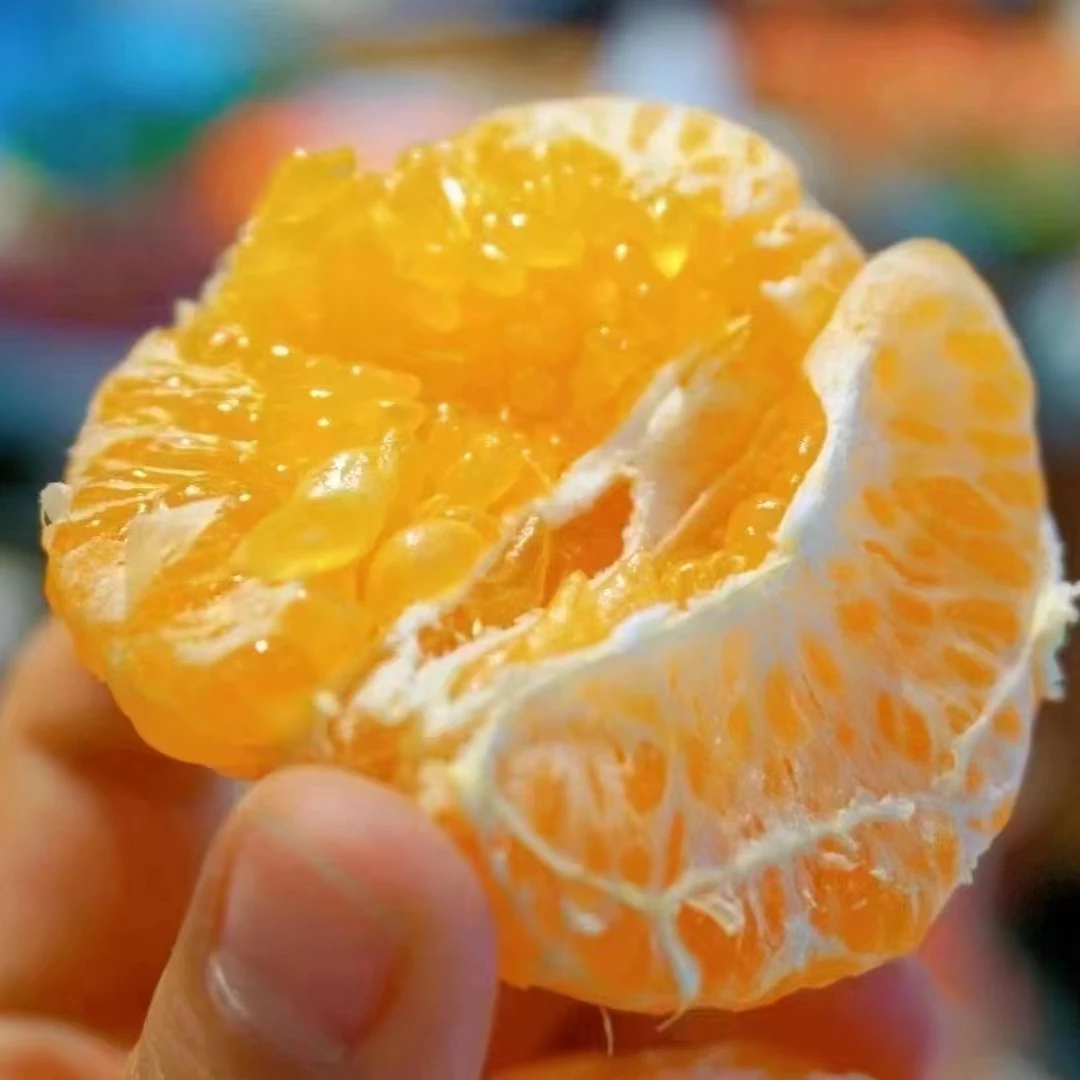 莒南同城配送到家 鲜果小时达 散称耙耙柑按斤称