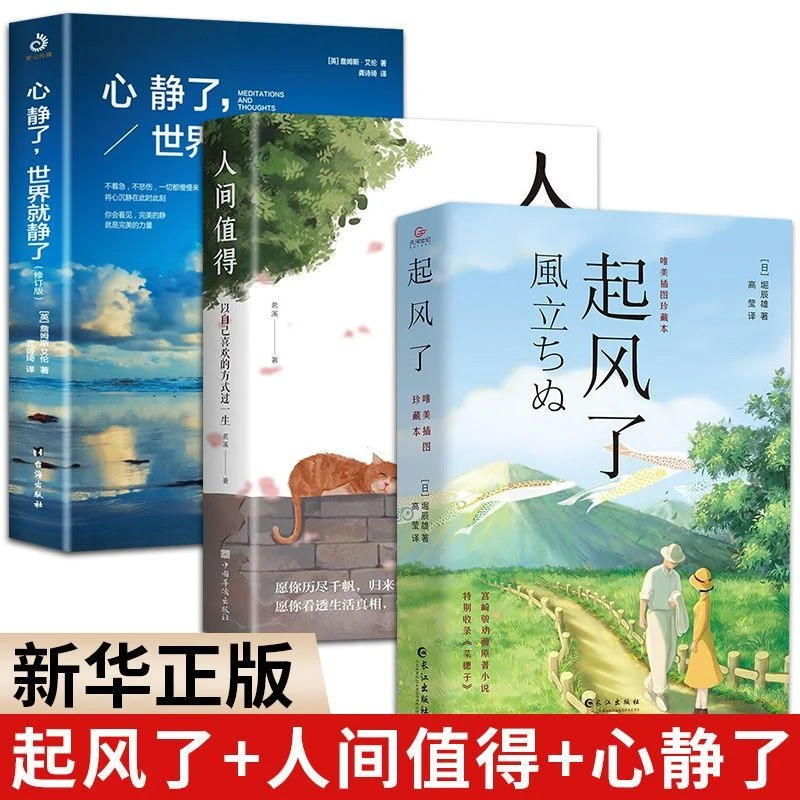 起风了宫崎骏收官动画同名原著小说新译小说阅读经典课外入门书ZZ