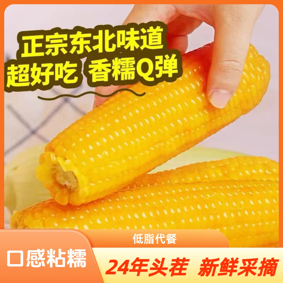 【整箱14棒整箱8斤】东北鲜食黄甜糯玉米250克-300克两根试吃