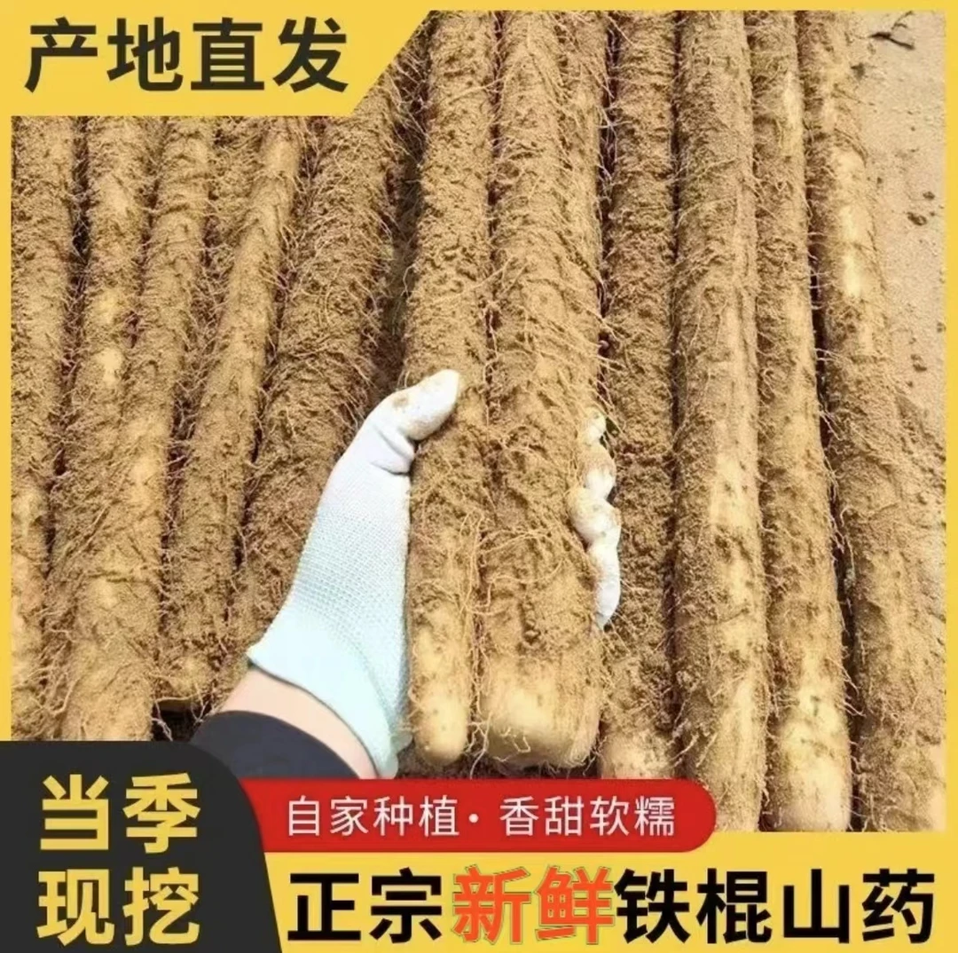 【5斤大果】正宗铁棍山药软糯香甜新鲜营养淮怀山药产地直发