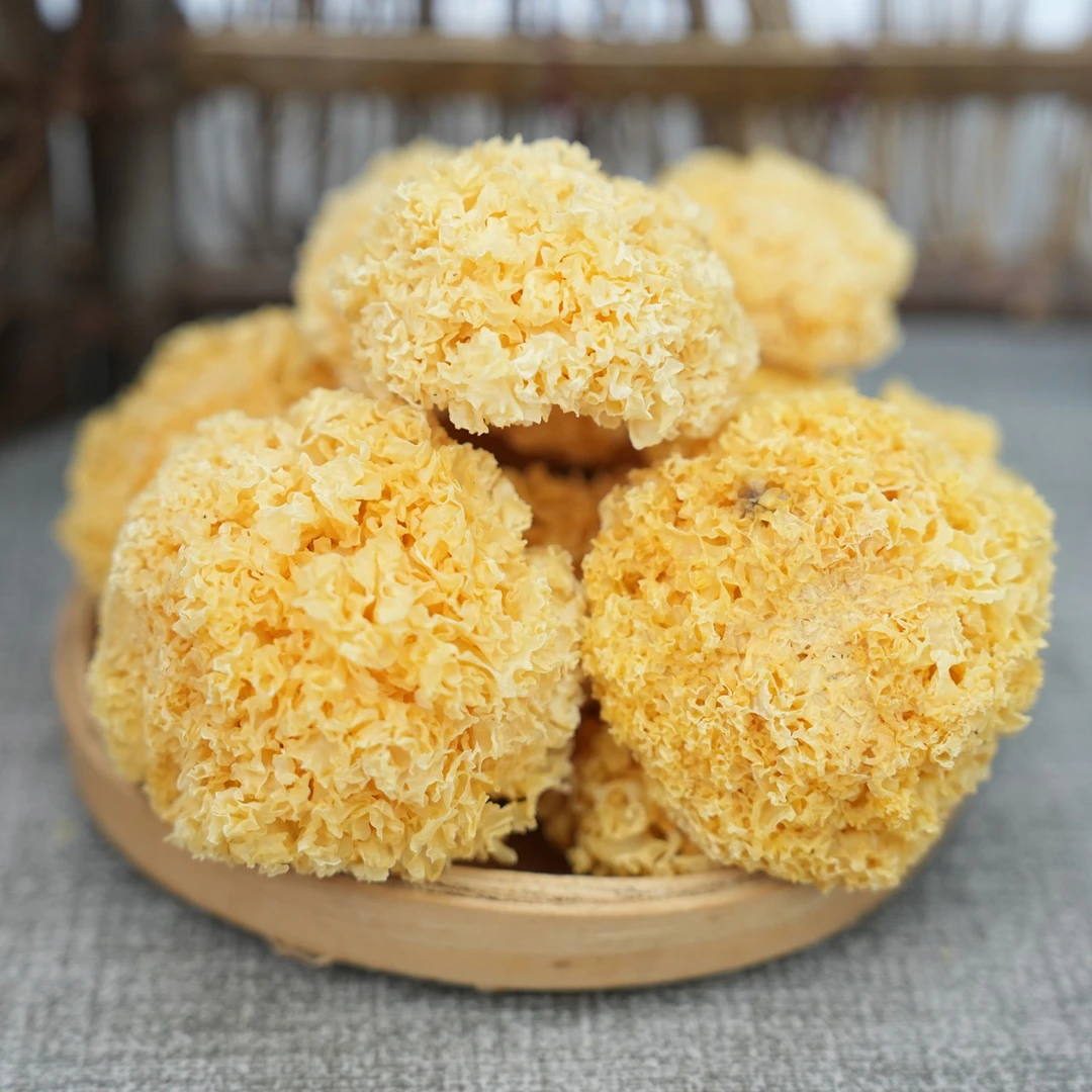 【雄琪心选】古田银耳 小朵