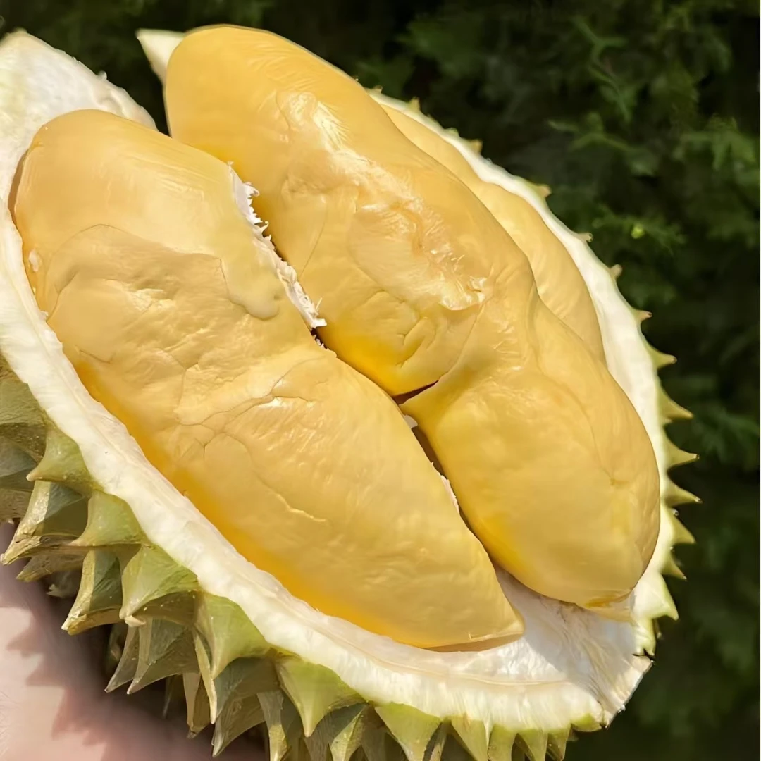 2斤纯果肉（限时）介意勿拍泰国树熟金枕新鲜榴莲纯果肉核小上海小时达！金枕泰国金枕越南