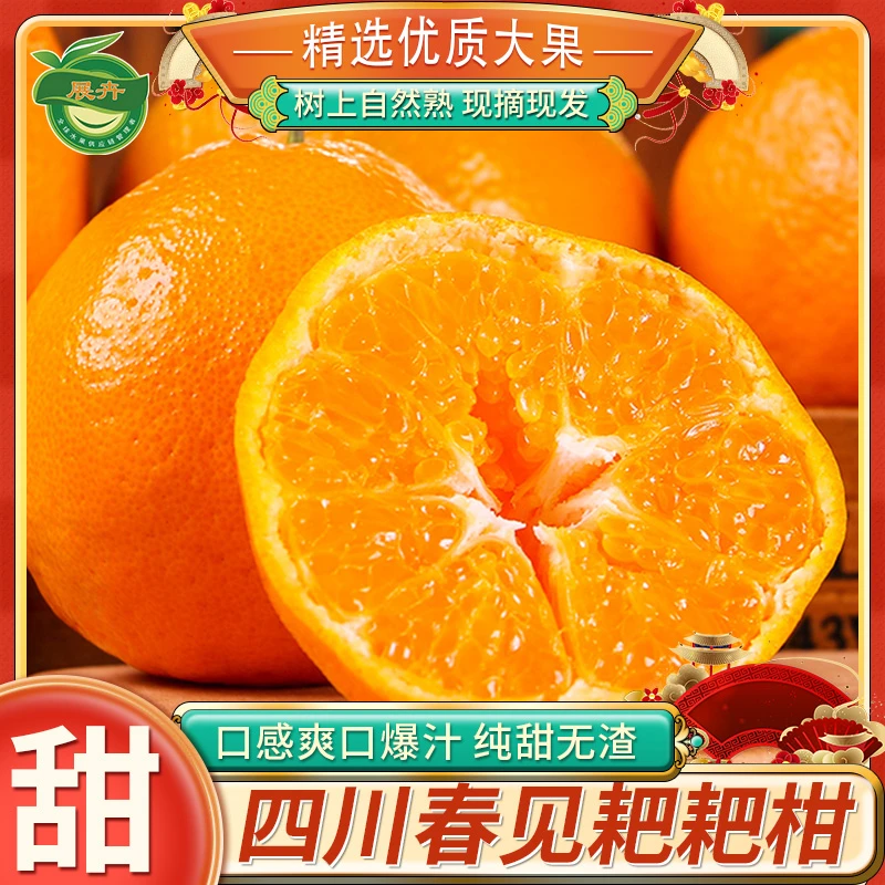 【粉丝专享】四川蒲江春见耙耙柑4.5-5斤当季新鲜产地直发