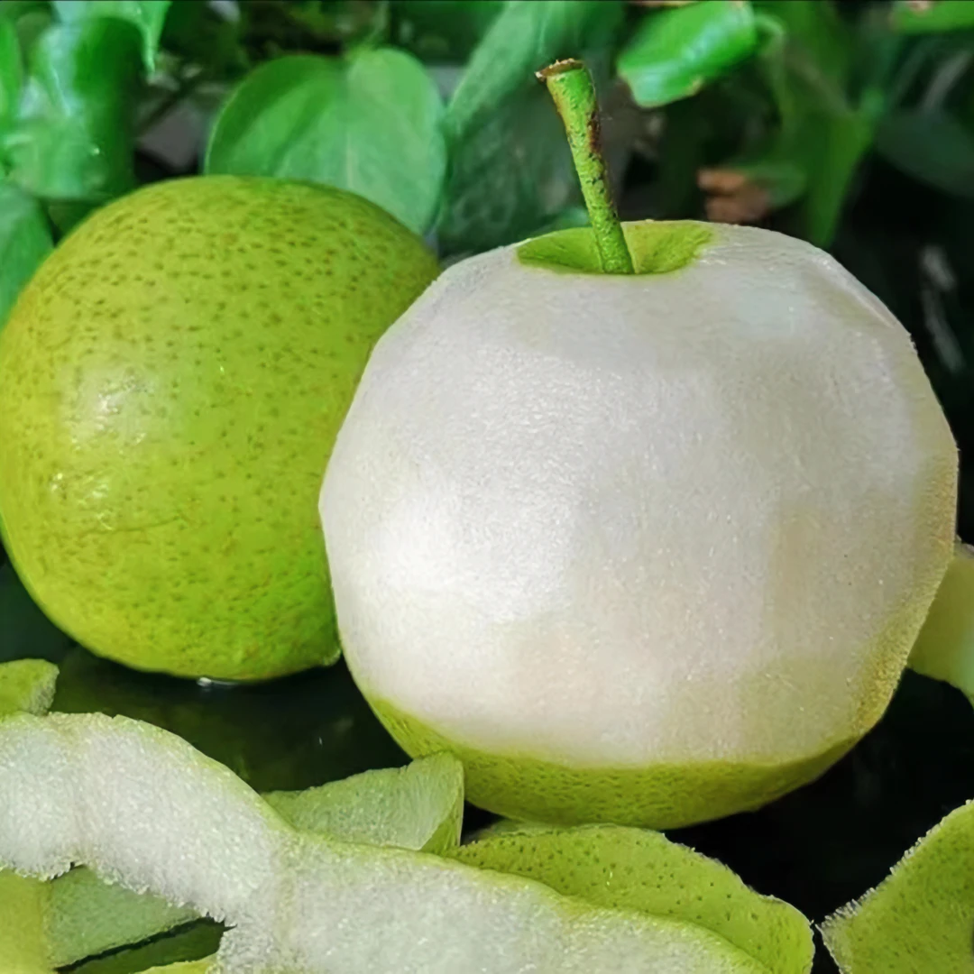 【展卉】安徽砀山皇冠梨4.5斤单果250g+到手5-9个