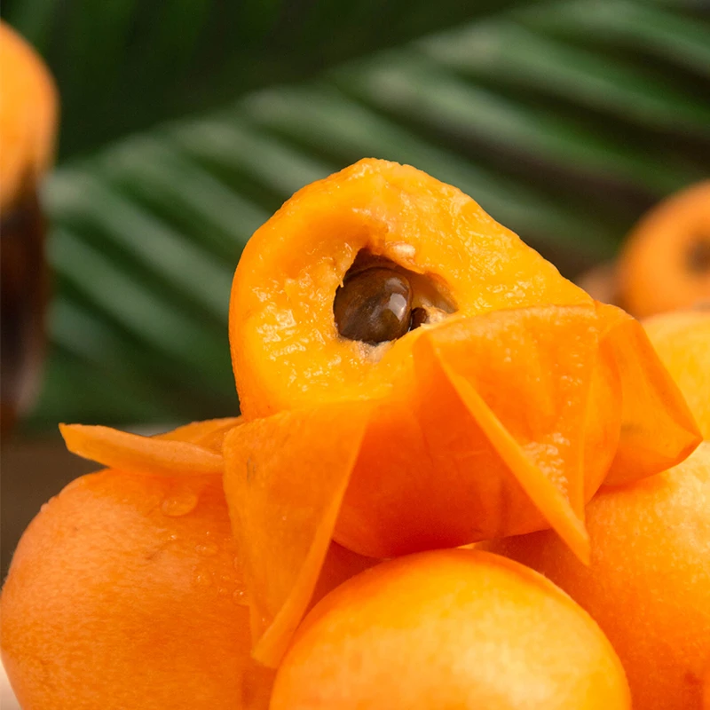 【展卉】四川枇杷1-3斤装新鲜应季产地直发水果