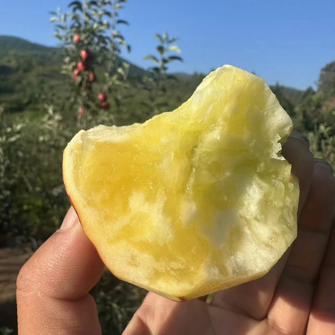 【顺丰快递】大凉山高山晚熟冰糖心丑苹果新鲜水果4/5/8斤保糖心
