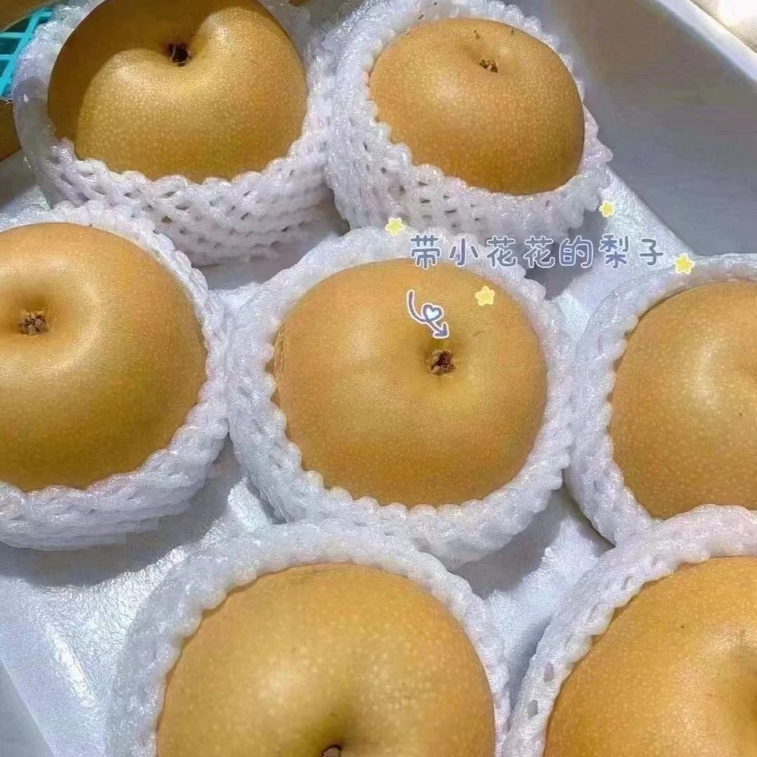 精品秋月梨1斤