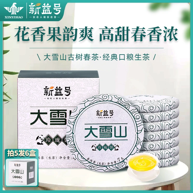 新益号大雪山生茶叶云南普洱茶古树小茶饼茶包便携装方便装花果香