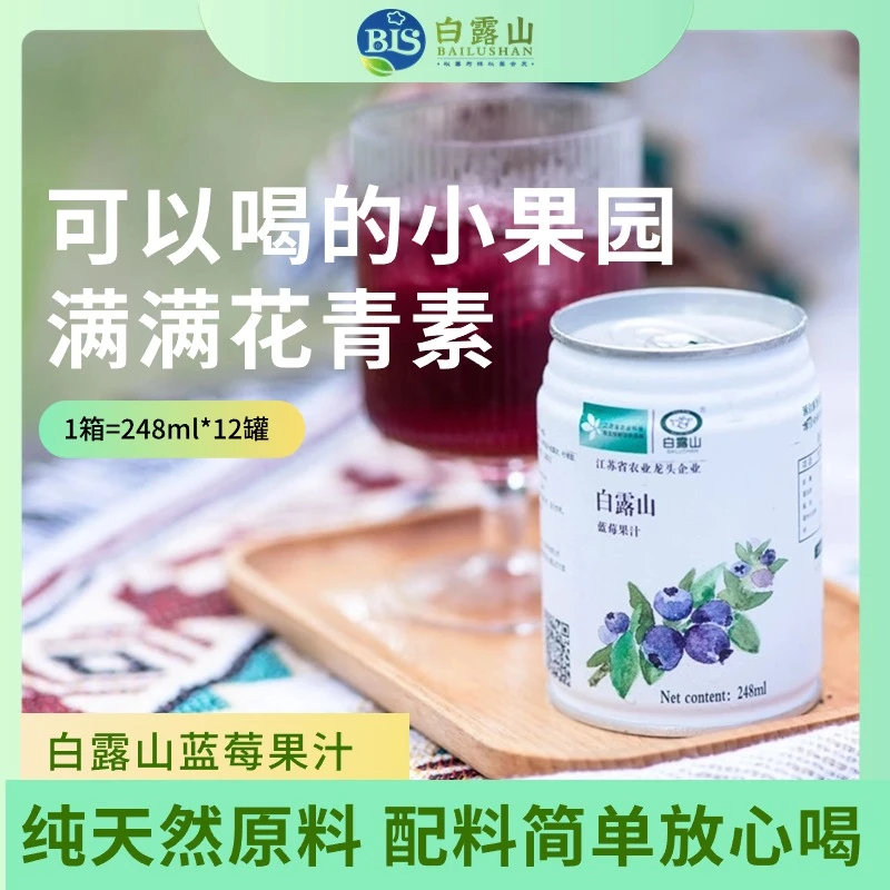 白露山蓝莓汁罐装饮品果汁248ml*12罐新鲜解渴即饮酸甜风味健康