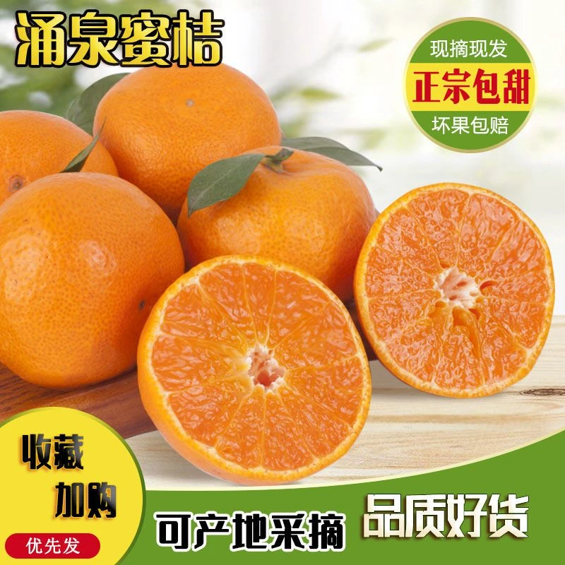 正宗涌泉蜜橘无打蜡浙江临海蜜桔当季新鲜冰糖橘现摘5斤10斤