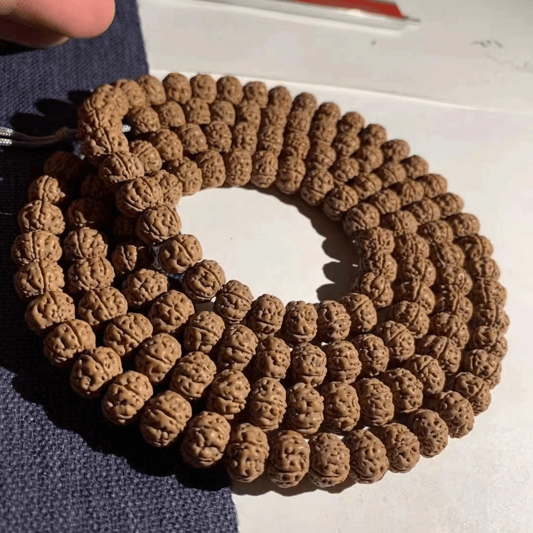 KKQ老树王130颗籽尺寸9-10