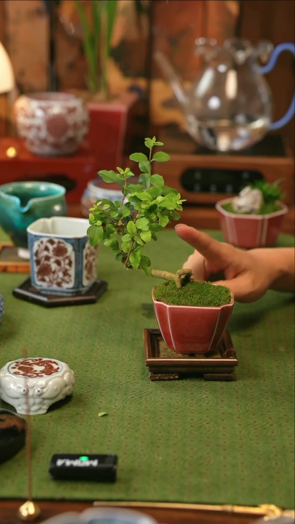 【闪购商品】摆件景德镇陶瓷福利款