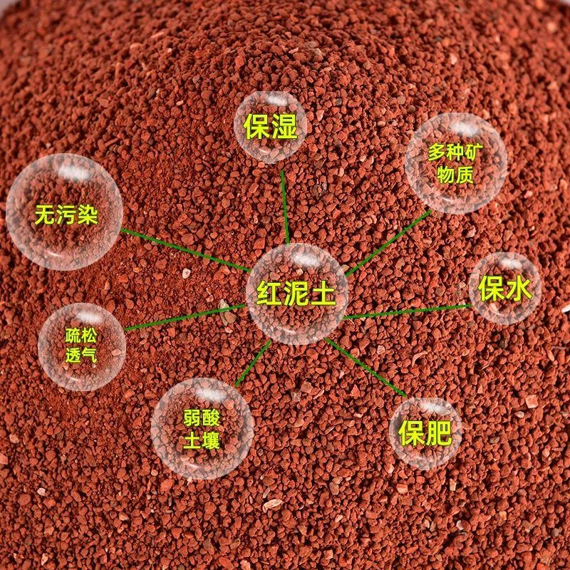 纯天然酸性红色泥土红沙土红土黄土黄泥土盆栽茶花土杜鹃花兰花
