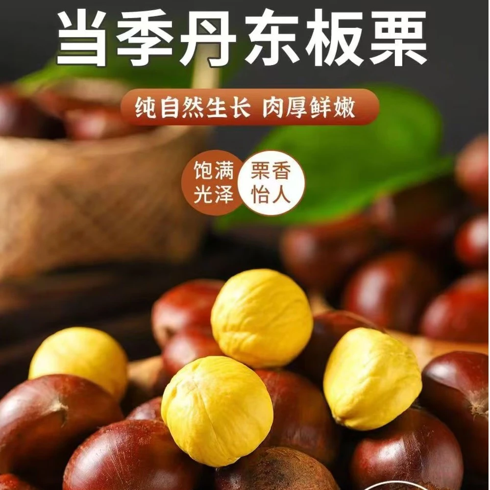 正宗丹东油板栗软糯香甜 4斤包邮