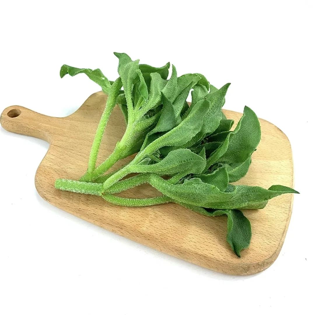 北京高端冰草约200g±10g(沙拉/火锅/凉菜)