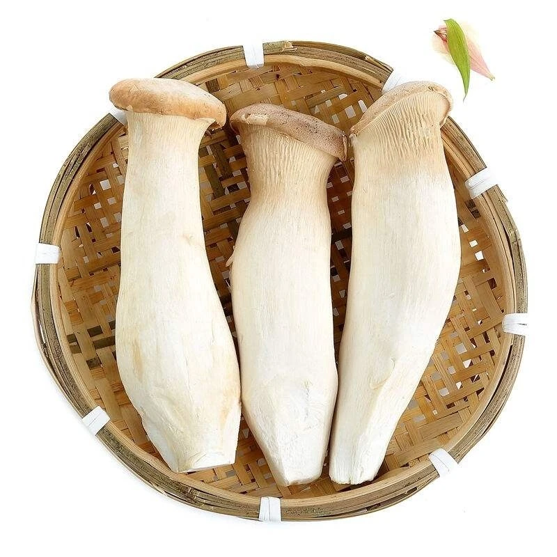 北京杏鲍菇500g±10g/份