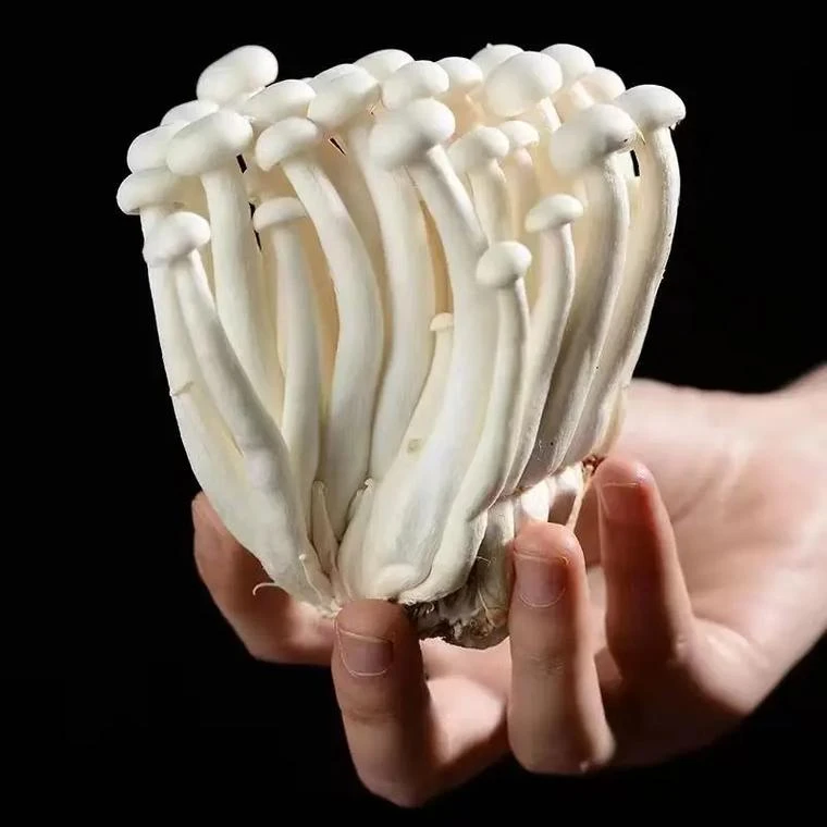 白玉菇约125g/份