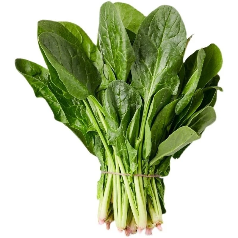 北京直发菠菜200g±30g/份