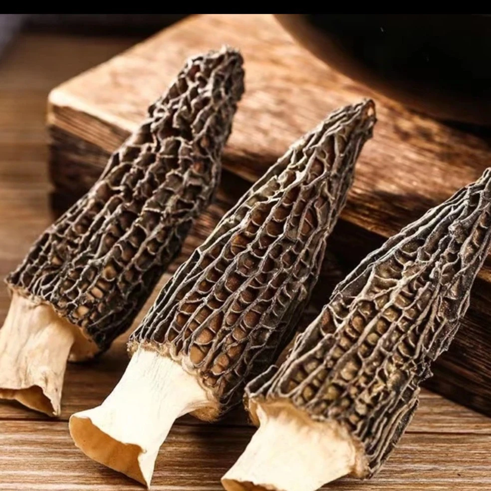 【宏兴甄选】头茬黑厚 羊肚菌（食用煲汤菌菇）