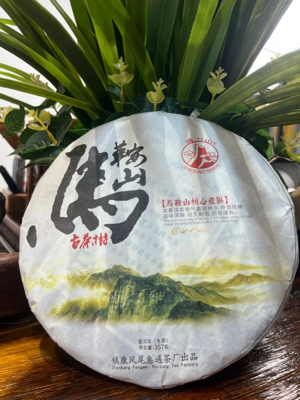 【忙肺老铁家的茶】2022马鞍山生茶357克