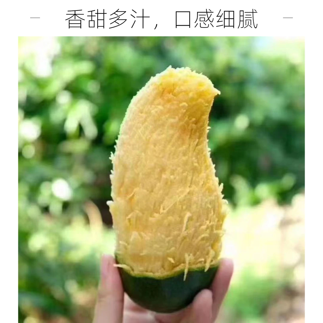 (桂七中果）广西田东桂七香芒农户自家果园批发香甜可口包邮优