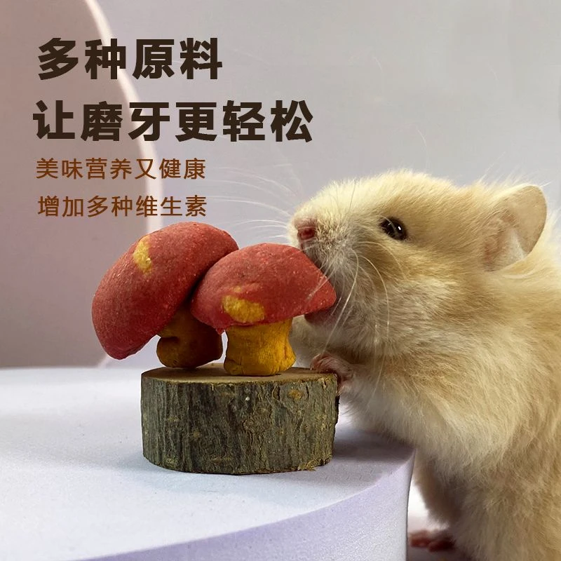 仓鼠粮食小蘑菇磨牙棒金丝熊营养小零食磨牙饼干玩具造景用品大全