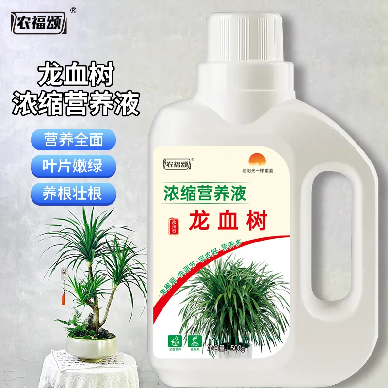 龙须树专用营养液治黄叶干尖有机水溶肥家庭绿植盆栽通用型液体肥