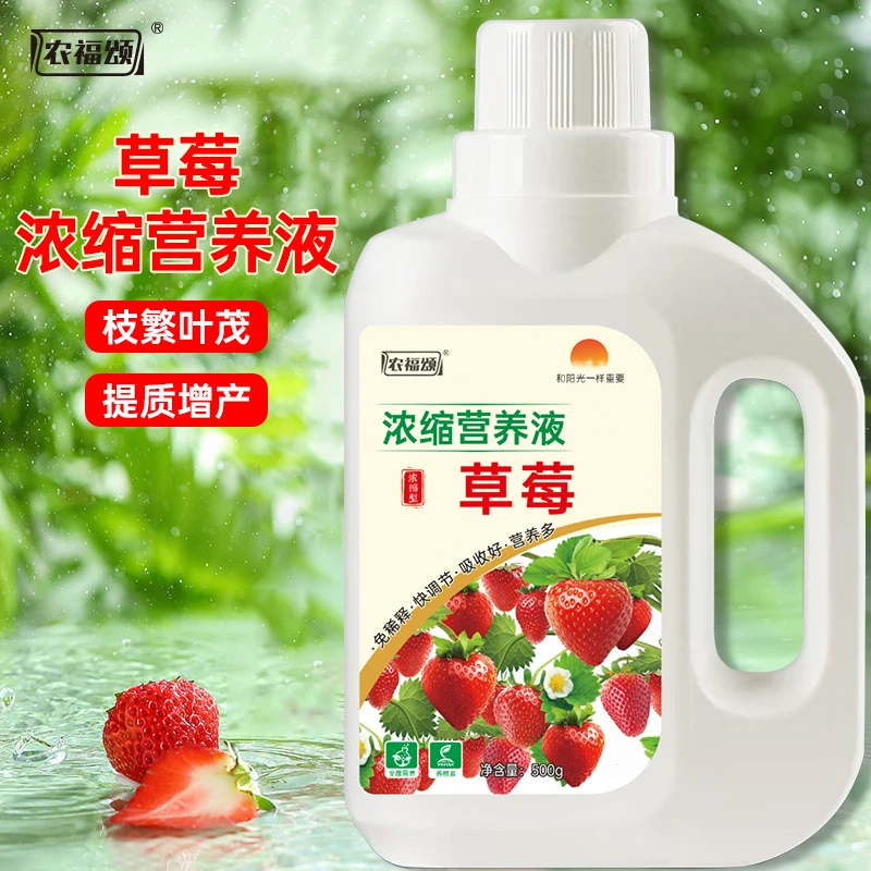 草莓肥料专用肥营养液盆栽有机肥水溶肥水培营养肥家用种草莓的肥