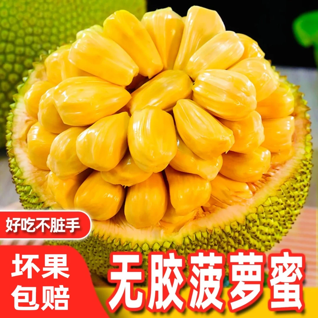 茂名金苞菠萝蜜新鲜水果4-15斤包邮黄肉少胶现摘现发香甜可口