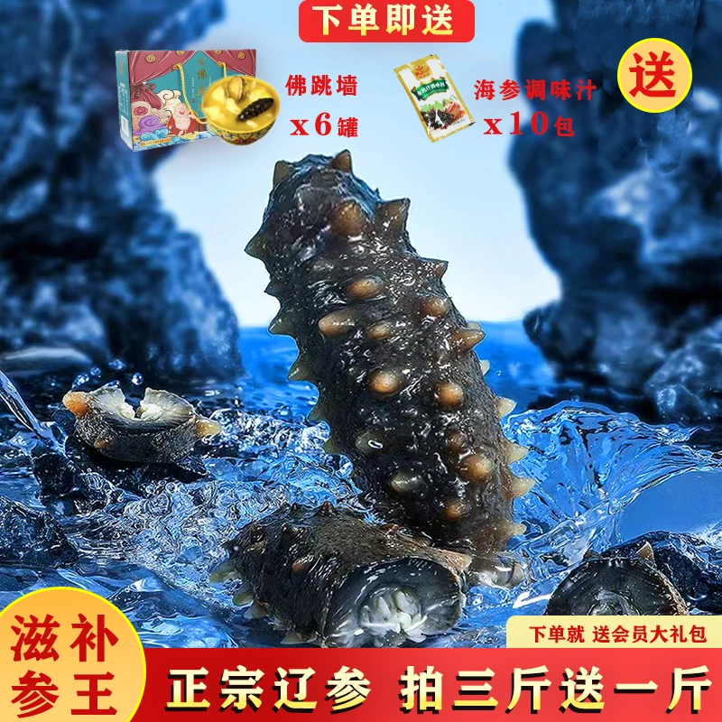 【加和严选】正宗大连鲜食海参买3送1热销装到手四斤底播辽刺参营养