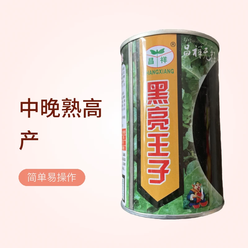 【西瓜】昌祥黑亮王子无籽西瓜种子中晚熟抗病高产黑皮生育期110天