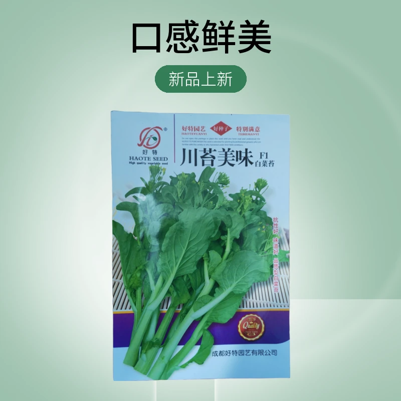 【菜苔】好特川苔美味白菜苔种子 抗性好 味道好 品质型 口感柔软
