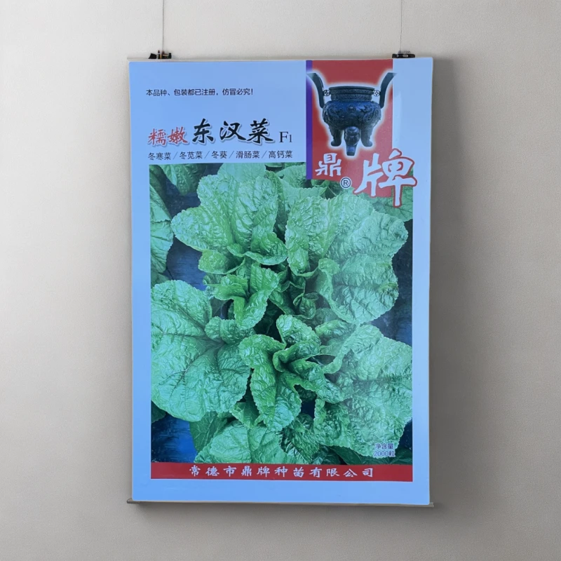 【东汉菜】鼎牌糯嫩东汉菜 冬寒菜滑肠菜 高钙菜 百菜之王五菜之首