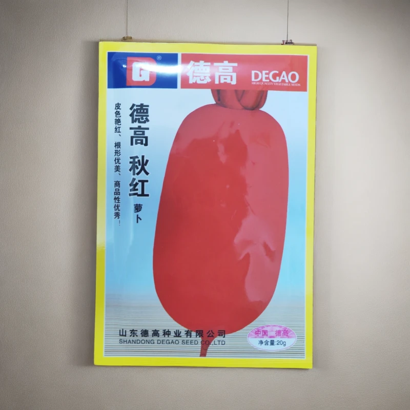 【萝卜】秋红萝卜杂交种种子皮色艳红根形优美商品性好肉质白而细腻