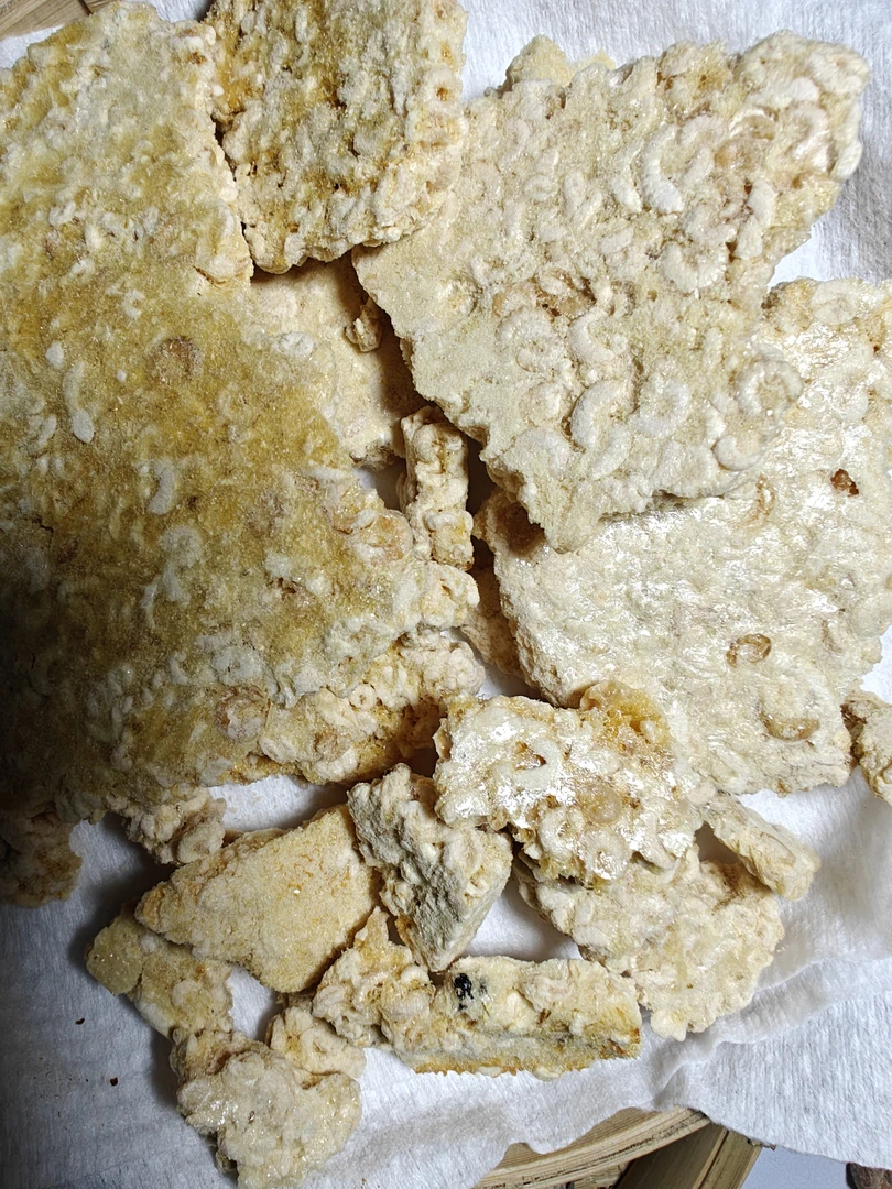 蜂，王，胎   云南土特产山货  非  香菇