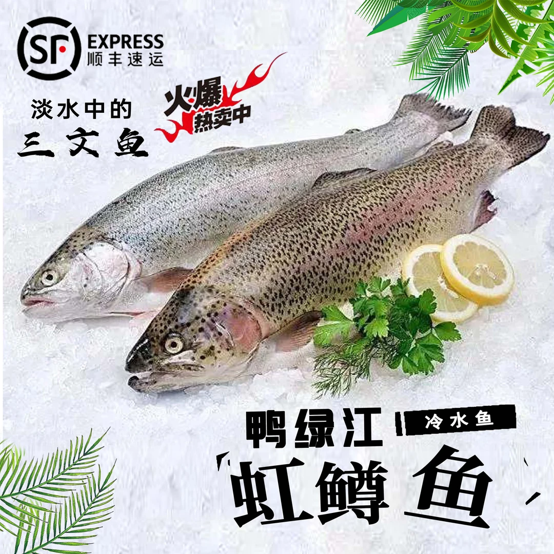 【顺丰包邮】虹鳟鱼2000g(保鲜不包活)鲜美美味