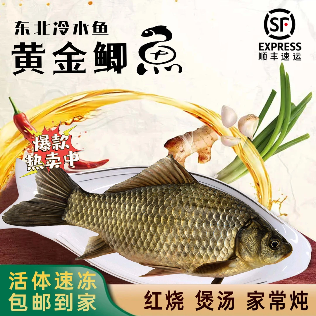 【顺丰包邮】东北鸭绿江鲫鱼1500克包邮3斤起包邮｛保鲜不包活｝鲜嫩
